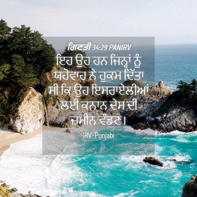 Picture 04 - ਗਿਣਤੀ 34:29 PANIRV - ਇਹ ਉਹ ਹਨ ਜਿਨ੍ਹਾਂ - Bible Verse Picture