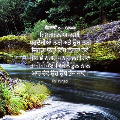 Picture 04 - ਗਿਣਤੀ 35:15 PANIRV - ਇਸਰਾਏਲੀਆਂ ਲਈ, - Bible Verse Picture