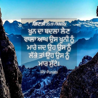Picture 04 - ਗਿਣਤੀ 35:19 PANIRV - ਖੂਨ ਦਾ ਬਦਲਾ ਲੈਣ - Bible Verse Picture