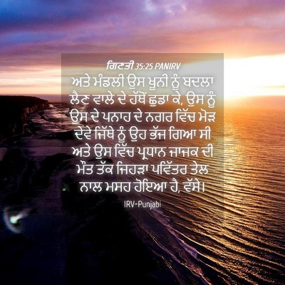 Picture 04 - ਗਿਣਤੀ 35:25 PANIRV - ਅਤੇ ਮੰਡਲੀ ਉਸ ਖੂਨੀ - Bible Verse Picture