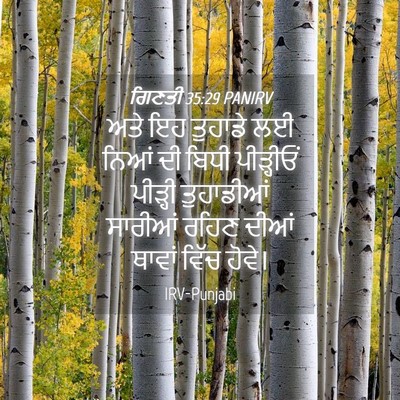 Picture 04 - ਗਿਣਤੀ 35:29 PANIRV - ਅਤੇ ਇਹ ਤੁਹਾਡੇ ਲਈ - Bible Verse Picture