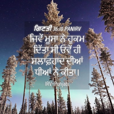 Picture 04 - ਗਿਣਤੀ 36:10 PANIRV - ਜਿਵੇਂ ਮੂਸਾ ਨੇ ਹੁਕਮ - Bible Verse Picture