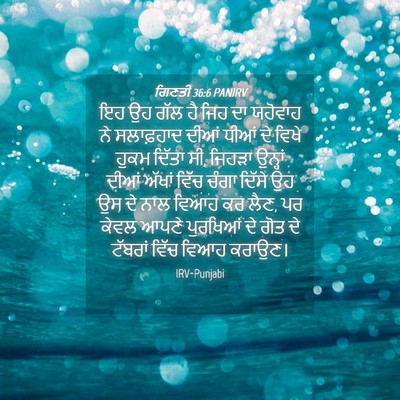 Picture 04 - ਗਿਣਤੀ 36:6 PANIRV - ਇਹ ਉਹ ਗੱਲ ਹੈ ਜਿਹ ਦਾ - Bible Verse Picture