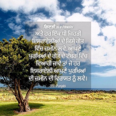 Picture 04 - ਗਿਣਤੀ 36:8 PANIRV - ਅਤੇ ਹਰ ਇੱਕ ਧੀ ਜਿਹੜੀ - Bible Verse Picture