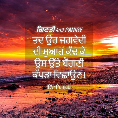 Picture 04 - ਗਿਣਤੀ 4:13 PANIRV - ਤਦ ਉਹ ਜਗਵੇਦੀ ਦੀ - Bible Verse Picture