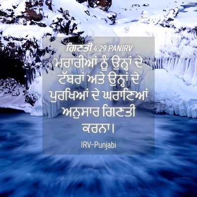 Picture 04 - ਗਿਣਤੀ 4:29 PANIRV - ਮਰਾਰੀਆਂ ਨੂੰ - Bible Verse Picture