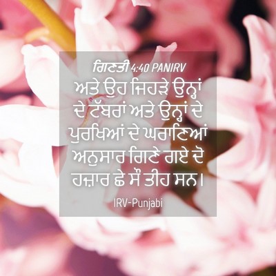 Picture 04 - ਗਿਣਤੀ 4:40 PANIRV - ਅਤੇ ਉਹ ਜਿਹੜੇ - Bible Verse Picture