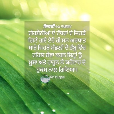 Picture 04 - ਗਿਣਤੀ 4:41 PANIRV - ਗੇਰਸ਼ੋਨੀਆਂ ਦੇ - Bible Verse Picture
