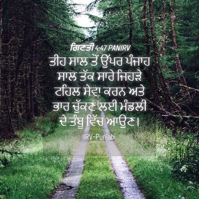 Picture 04 - ਗਿਣਤੀ 4:47 PANIRV - ਤੀਹ ਸਾਲ ਤੋਂ ਉੱਪਰ - Bible Verse Picture
