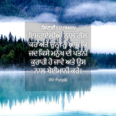 Picture 04 - ਗਿਣਤੀ 5:12 PANIRV - ਇਸਰਾਏਲੀਆਂ ਨਾਲ ਗੱਲ - Bible Verse Picture