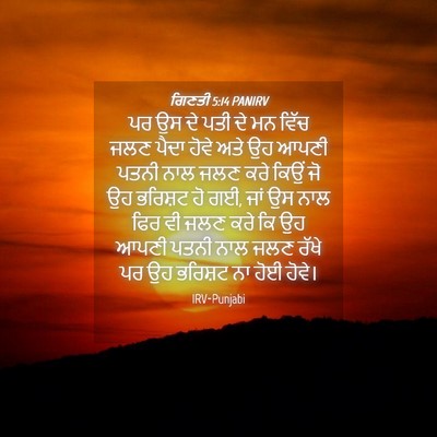 Picture 04 - ਗਿਣਤੀ 5:14 PANIRV - ਪਰ ਉਸ ਦੇ ਪਤੀ ਦੇ ਮਨ - Bible Verse Picture
