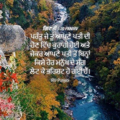 Picture 04 - ਗਿਣਤੀ 5:20 PANIRV - ਪਰੰਤੂ ਜੇ ਤੂੰ ਆਪਣੇ - Bible Verse Picture