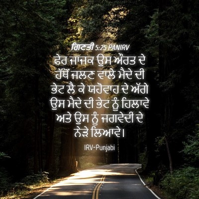 Picture 04 - ਗਿਣਤੀ 5:25 PANIRV - ਫੇਰ ਜਾਜਕ ਉਸ ਔਰਤ ਦੇ - Bible Verse Picture