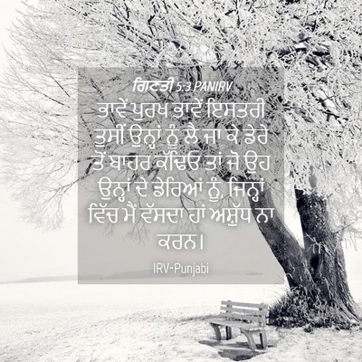 Picture 04 - ਗਿਣਤੀ 5:3 PANIRV - ਭਾਵੇਂ ਪੁਰਖ ਭਾਵੇਂ - Bible Verse Picture