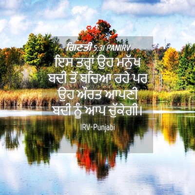 Picture 04 - ਗਿਣਤੀ 5:31 PANIRV - ਇਸ ਤਰ੍ਹਾਂ ਉਹ ਮਨੁੱਖ - Bible Verse Picture