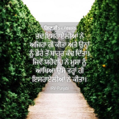 Picture 04 - ਗਿਣਤੀ 5:4 PANIRV - ਤਦ ਇਸਰਾਏਲੀਆਂ ਨੇ - Bible Verse Picture