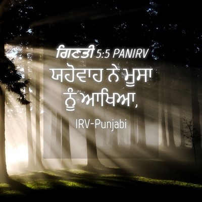 Picture 04 - ਗਿਣਤੀ 5:5 PANIRV - ਯਹੋਵਾਹ ਨੇ ਮੂਸਾ ਨੂੰ - Bible Verse Picture