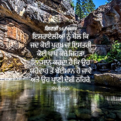 Picture 04 - ਗਿਣਤੀ 5:6 PANIRV - ਇਸਰਾਏਲੀਆਂ ਨੂੰ ਬੋਲ - Bible Verse Picture