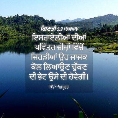 Picture 04 - ਗਿਣਤੀ 5:9 PANIRV - ਇਸਰਾਏਲੀਆਂ ਦੀਆਂ - Bible Verse Picture
