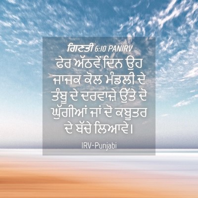 Picture 04 - ਗਿਣਤੀ 6:10 PANIRV - ਫੇਰ ਅੱਠਵੇਂ ਦਿਨ ਉਹ - Bible Verse Picture