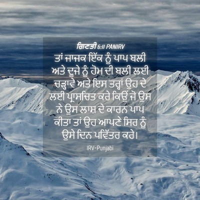 Picture 04 - ਗਿਣਤੀ 6:11 PANIRV - ਤਾਂ ਜਾਜਕ ਇੱਕ ਨੂੰ - Bible Verse Picture
