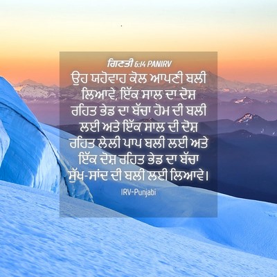 Picture 04 - ਗਿਣਤੀ 6:14 PANIRV - ਉਹ ਯਹੋਵਾਹ ਕੋਲ ਆਪਣੀ - Bible Verse Picture