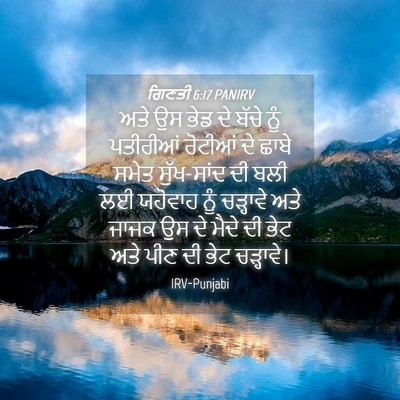 Picture 04 - ਗਿਣਤੀ 6:17 PANIRV - ਅਤੇ ਉਸ ਭੇਡ ਦੇ ਬੱਚੇ - Bible Verse Picture
