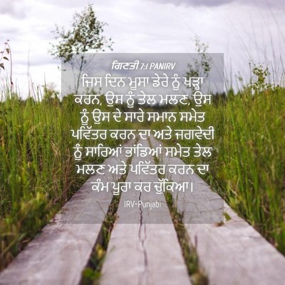 Picture 04 - ਗਿਣਤੀ 7:1 PANIRV - ਜਿਸ ਦਿਨ ਮੂਸਾ ਡੇਰੇ - Bible Verse Picture