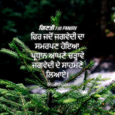 Picture 04 - ਗਿਣਤੀ 7:10 PANIRV - ਫਿਰ ਜਦੋਂ ਜਗਵੇਦੀ ਦਾ - Bible Verse Picture