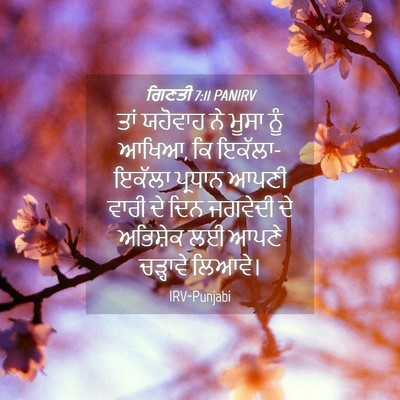 Picture 04 - ਗਿਣਤੀ 7:11 PANIRV - ਤਾਂ ਯਹੋਵਾਹ ਨੇ ਮੂਸਾ - Bible Verse Picture