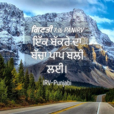 Picture 04 - ਗਿਣਤੀ 7:16 PANIRV - ਇੱਕ ਬੱਕਰੇ ਦਾ ਬੱਚਾ - Bible Verse Picture