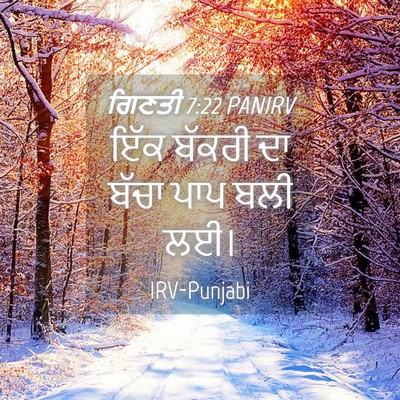 Picture 04 - ਗਿਣਤੀ 7:22 PANIRV - ਇੱਕ ਬੱਕਰੀ ਦਾ ਬੱਚਾ - Bible Verse Picture