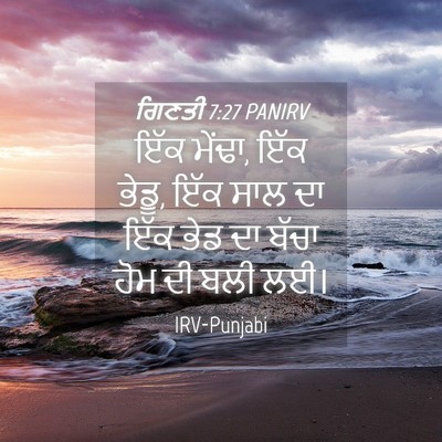 Picture 04 - ਗਿਣਤੀ 7:27 PANIRV - ਇੱਕ ਮੇਂਢਾ, ਇੱਕ - Bible Verse Picture