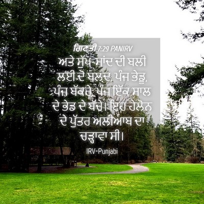 Picture 04 - ਗਿਣਤੀ 7:29 PANIRV - ਅਤੇ ਸੁੱਖ-ਸਾਂਦ ਦੀ - Bible Verse Picture