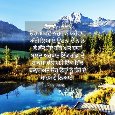 Picture 04 - ਗਿਣਤੀ 7:3 PANIRV - ਉਹ ਆਪਣੇ ਨਜ਼ਰਾਨੇ - Bible Verse Picture
