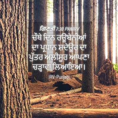 Picture 04 - ਗਿਣਤੀ 7:30 PANIRV - ਚੌਥੇ ਦਿਨ ਰਊਬੇਨੀਆਂ - Bible Verse Picture