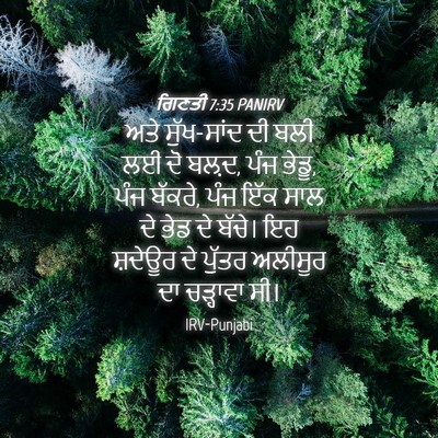 Picture 04 - ਗਿਣਤੀ 7:35 PANIRV - ਅਤੇ ਸੁੱਖ-ਸਾਂਦ ਦੀ - Bible Verse Picture