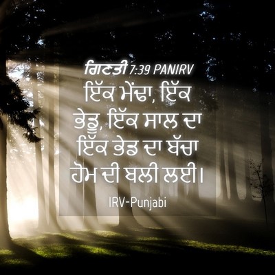 Picture 04 - ਗਿਣਤੀ 7:39 PANIRV - ਇੱਕ ਮੇਂਢਾ, ਇੱਕ - Bible Verse Picture