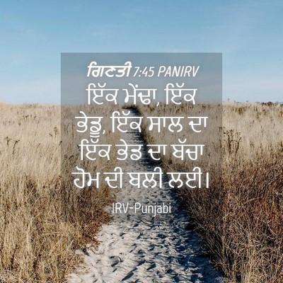Picture 04 - ਗਿਣਤੀ 7:45 PANIRV - ਇੱਕ ਮੇਂਢਾ, ਇੱਕ - Bible Verse Picture
