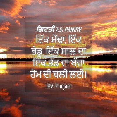 Picture 04 - ਗਿਣਤੀ 7:51 PANIRV - ਇੱਕ ਮੇਂਢਾ, ਇੱਕ - Bible Verse Picture