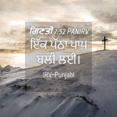 Picture 04 - ਗਿਣਤੀ 7:52 PANIRV - ਇੱਕ ਪੱਠਾ ਪਾਪ ਬਲੀ - Bible Verse Picture