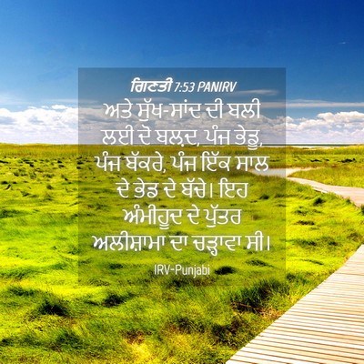 Picture 04 - ਗਿਣਤੀ 7:53 PANIRV - ਅਤੇ ਸੁੱਖ-ਸਾਂਦ ਦੀ - Bible Verse Picture