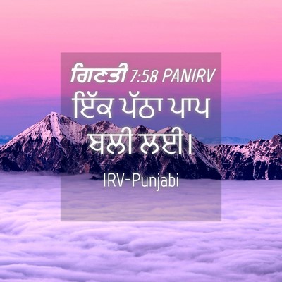 Picture 04 - ਗਿਣਤੀ 7:58 PANIRV - ਇੱਕ ਪੱਠਾ ਪਾਪ ਬਲੀ - Bible Verse Picture