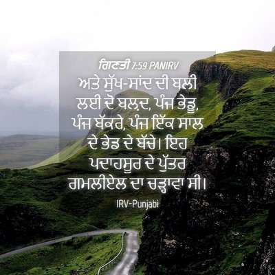 Picture 04 - ਗਿਣਤੀ 7:59 PANIRV - ਅਤੇ ਸੁੱਖ-ਸਾਂਦ ਦੀ - Bible Verse Picture