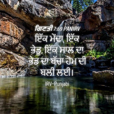 Picture 04 - ਗਿਣਤੀ 7:69 PANIRV - ਇੱਕ ਮੇਂਢਾ, ਇੱਕ - Bible Verse Picture