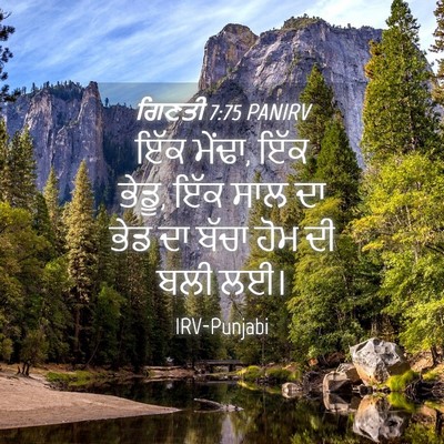 Picture 04 - ਗਿਣਤੀ 7:75 PANIRV - ਇੱਕ ਮੇਂਢਾ, ਇੱਕ - Bible Verse Picture