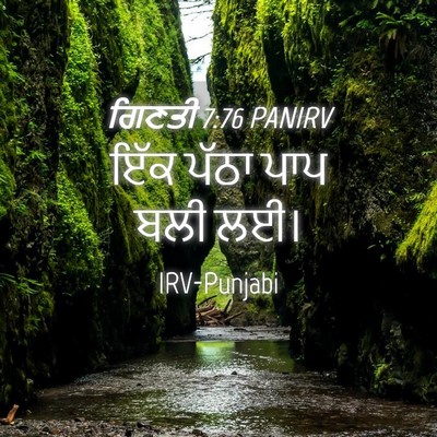 Picture 04 - ਗਿਣਤੀ 7:76 PANIRV - ਇੱਕ ਪੱਠਾ ਪਾਪ ਬਲੀ - Bible Verse Picture