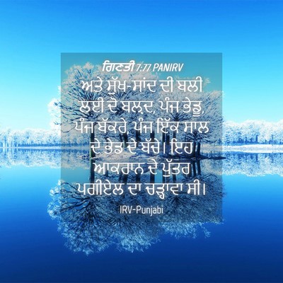Picture 04 - ਗਿਣਤੀ 7:77 PANIRV - ਅਤੇ ਸੁੱਖ-ਸਾਂਦ ਦੀ - Bible Verse Picture