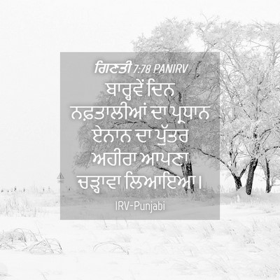 Picture 04 - ਗਿਣਤੀ 7:78 PANIRV - ਬਾਰ੍ਹਵੇਂ ਦਿਨ - Bible Verse Picture