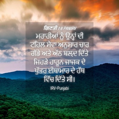 Picture 04 - ਗਿਣਤੀ 7:8 PANIRV - ਮਰਾਰੀਆਂ ਨੂੰ - Bible Verse Picture